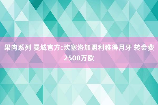 果肉系列 曼城官方:坎塞洛加盟利雅得月牙 转会费2500万欧