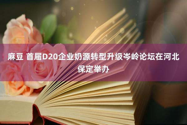 麻豆 首届D20企业奶源转型升级岑岭论坛在河北保定举办